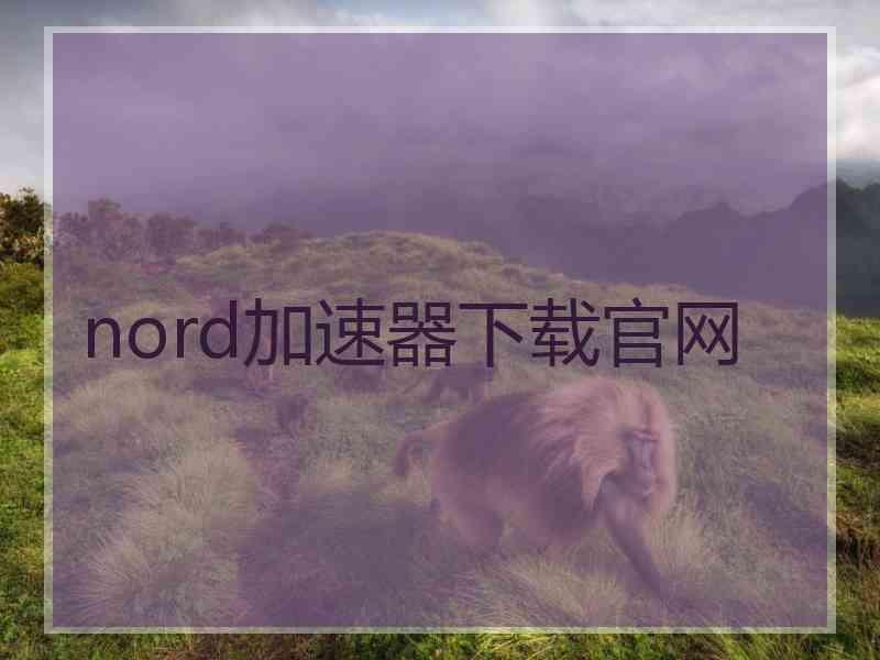 nord加速器下载官网