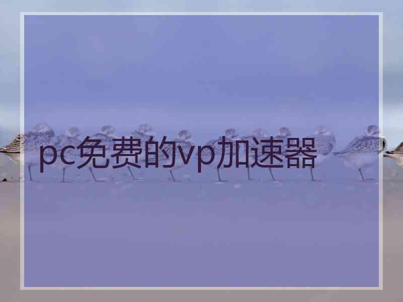 pc免费的vp加速器