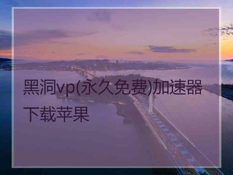 黑洞vp(永久免费)加速器下载苹果