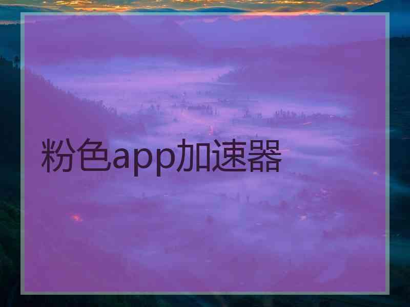 粉色app加速器