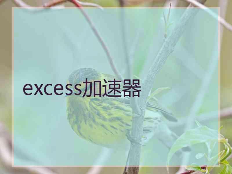 excess加速器