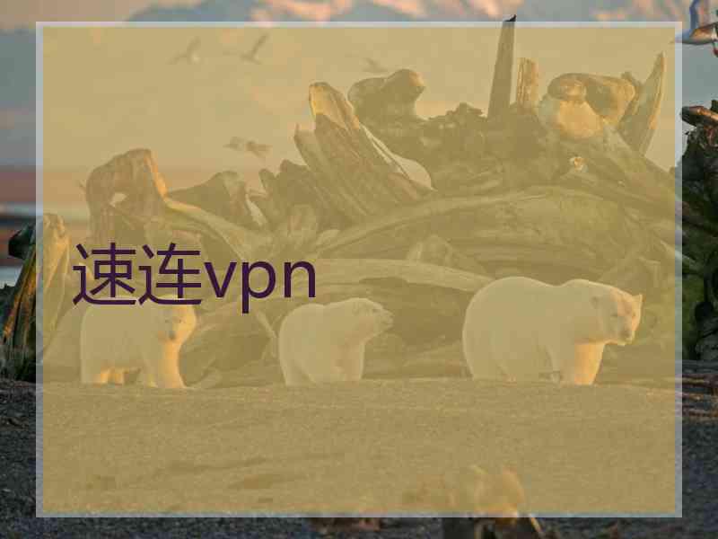 速连vpn