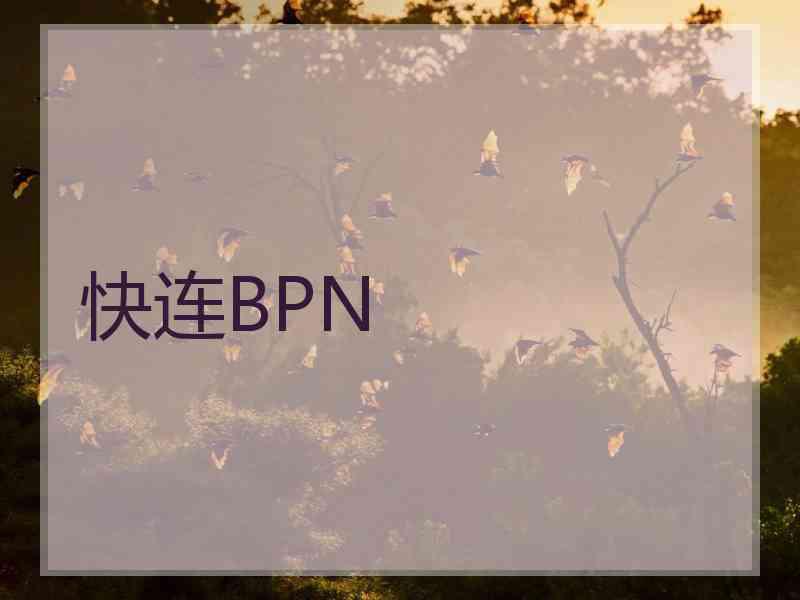 快连BPN