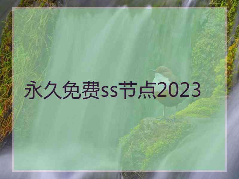 永久免费ss节点2023