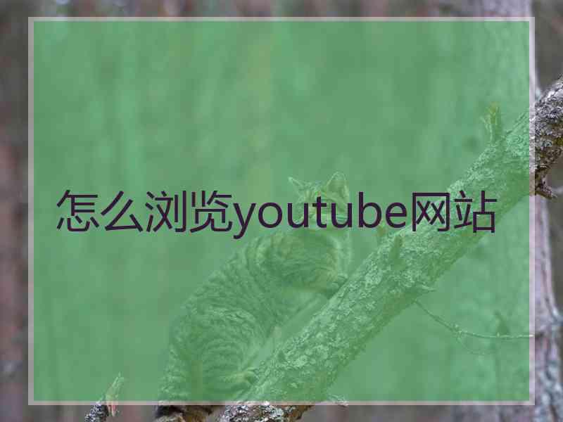 怎么浏览youtube网站