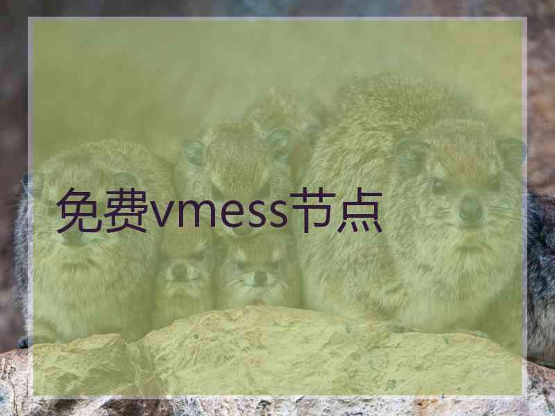 免费vmess节点