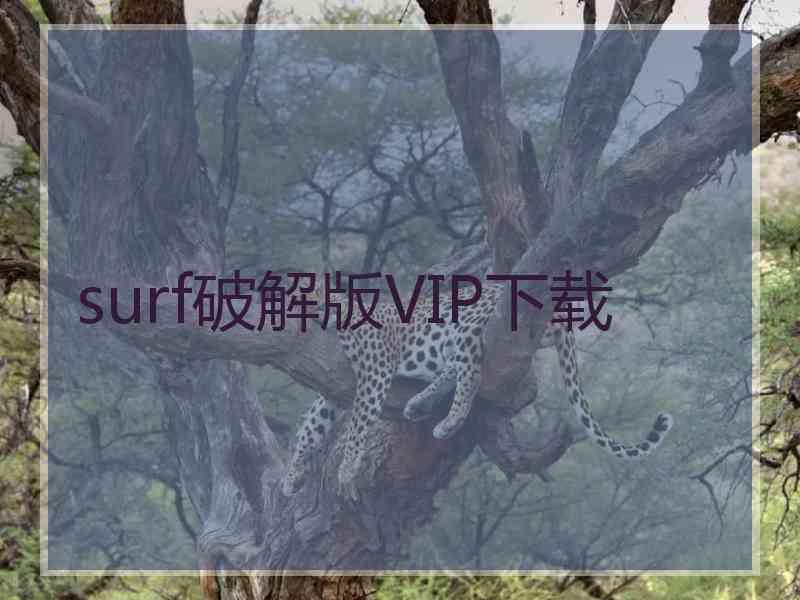 surf破解版VIP下载