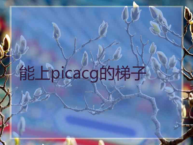 能上picacg的梯子