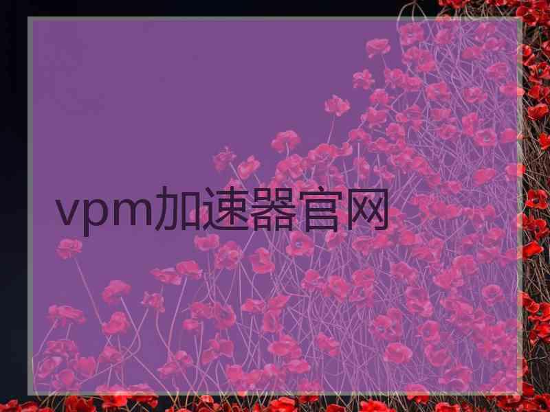 vpm加速器官网