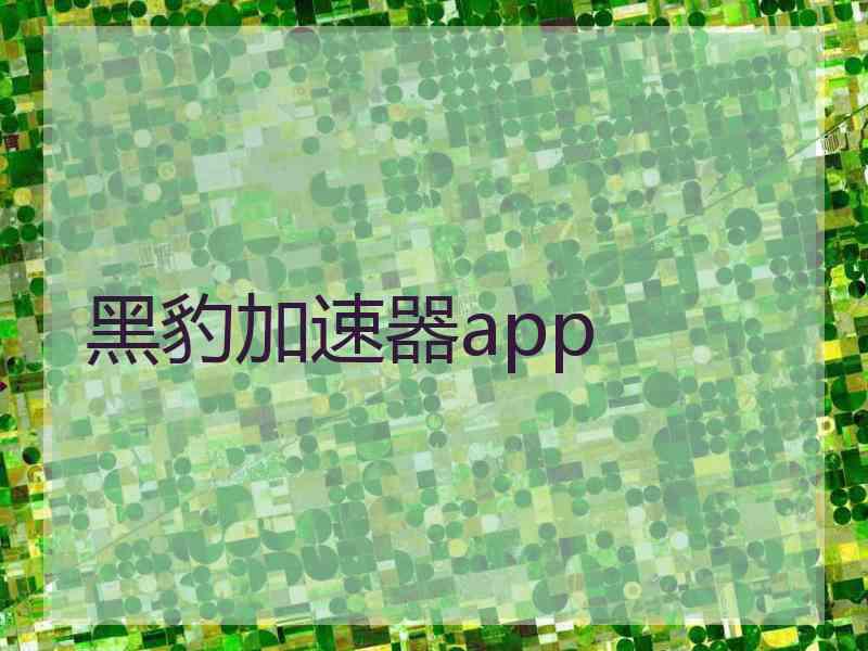 黑豹加速器app