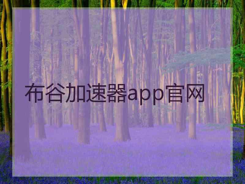 布谷加速器app官网