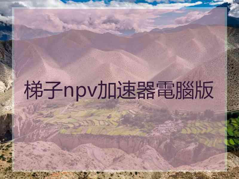 梯子npv加速器電腦版