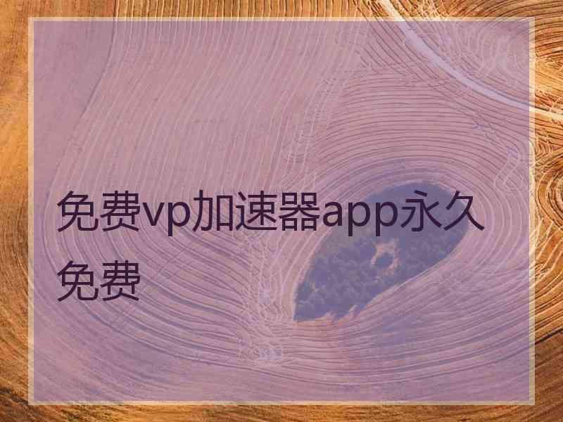 免费vp加速器app永久免费