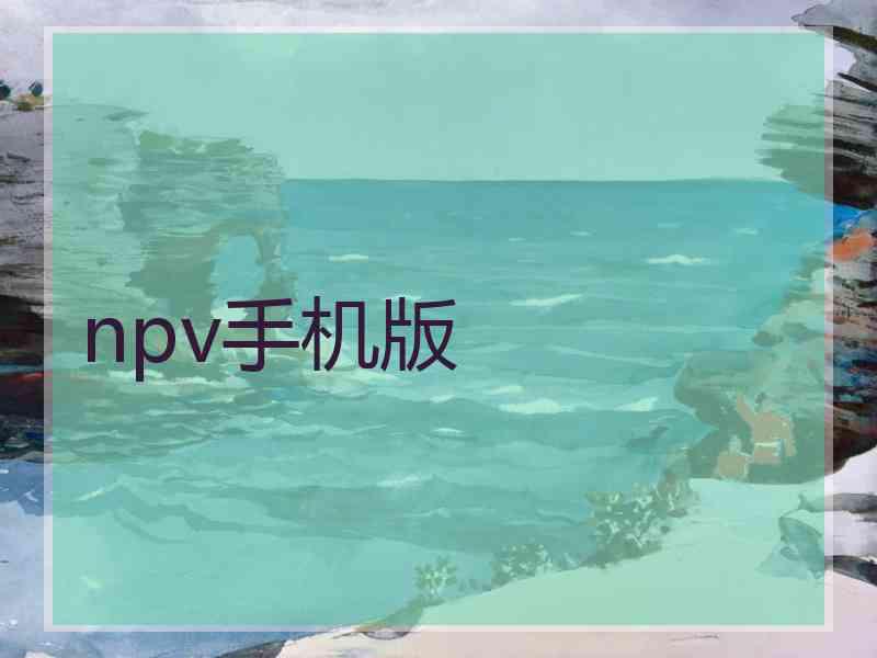 npv手机版