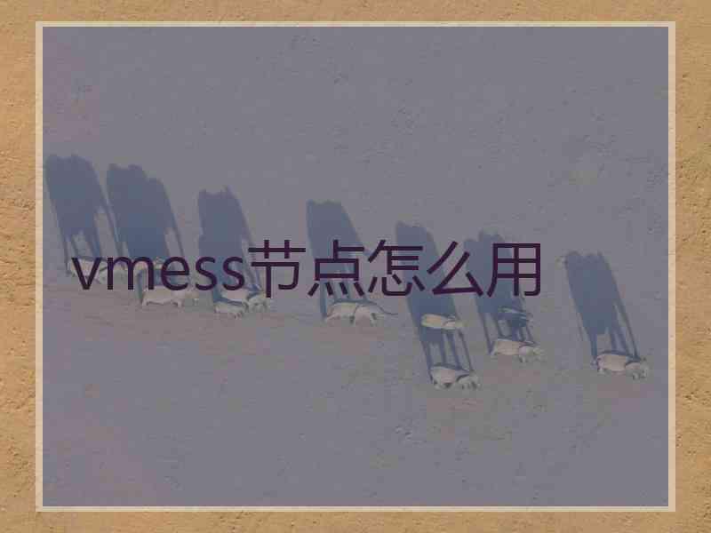 vmess节点怎么用