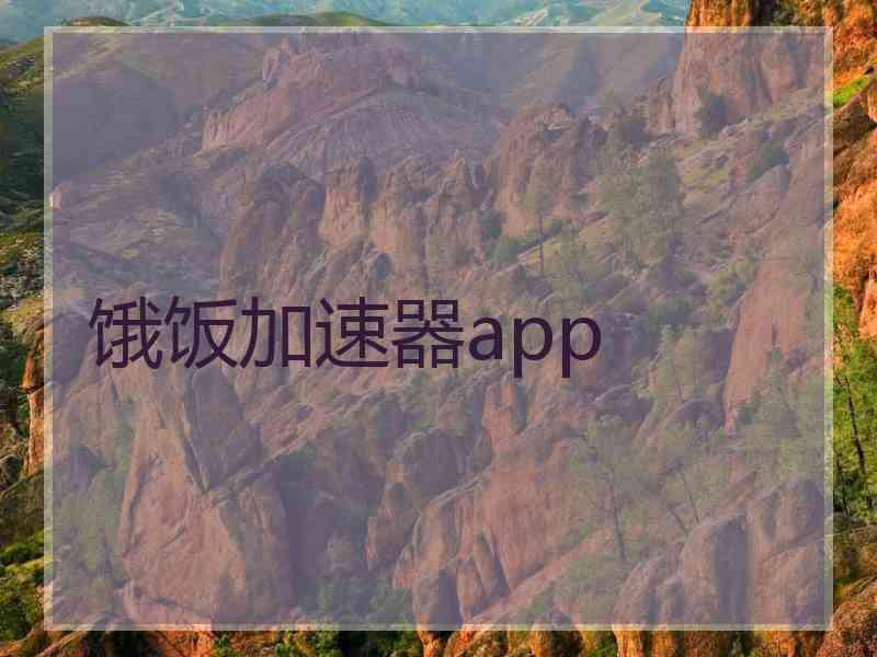 饿饭加速器app