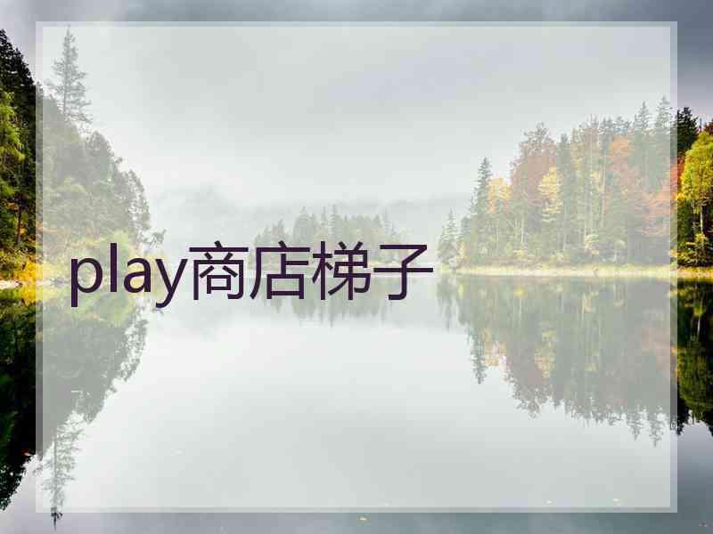 play商店梯子