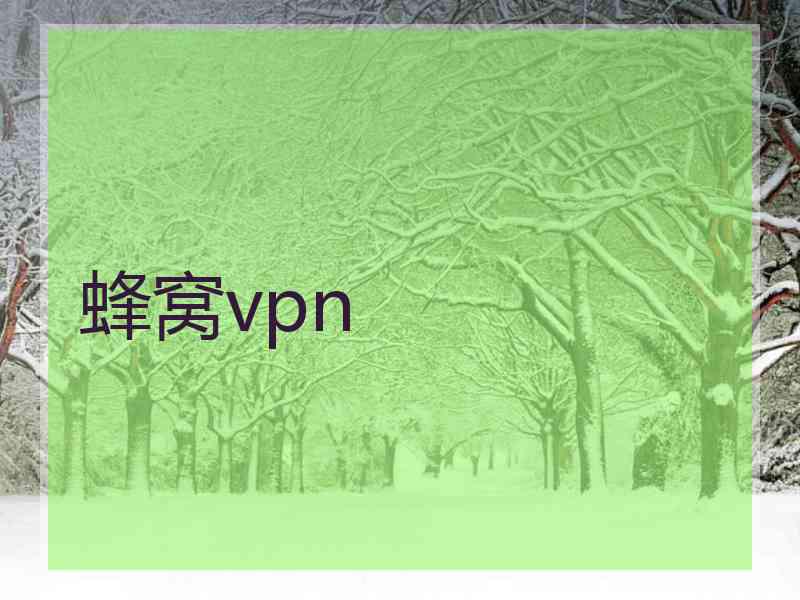 蜂窝vpn