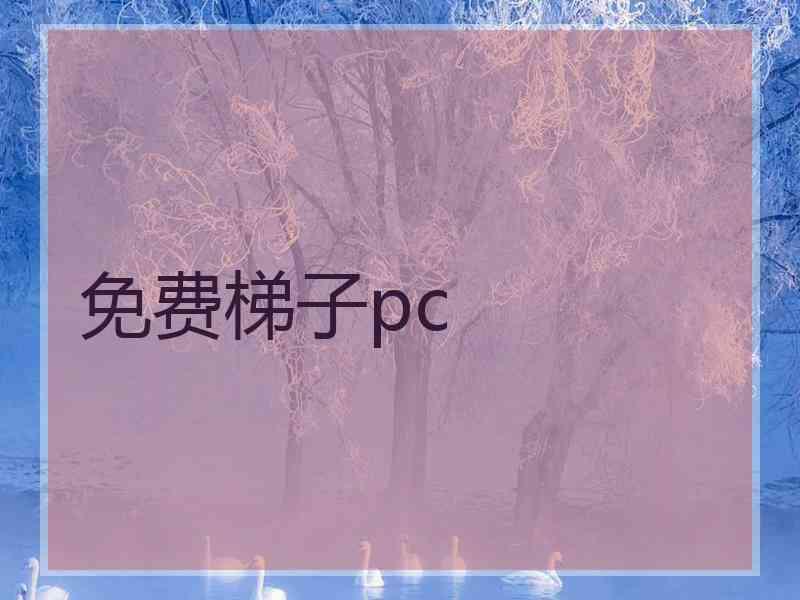 免费梯子pc