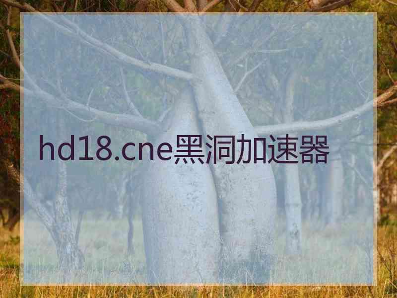 hd18.cne黑洞加速器