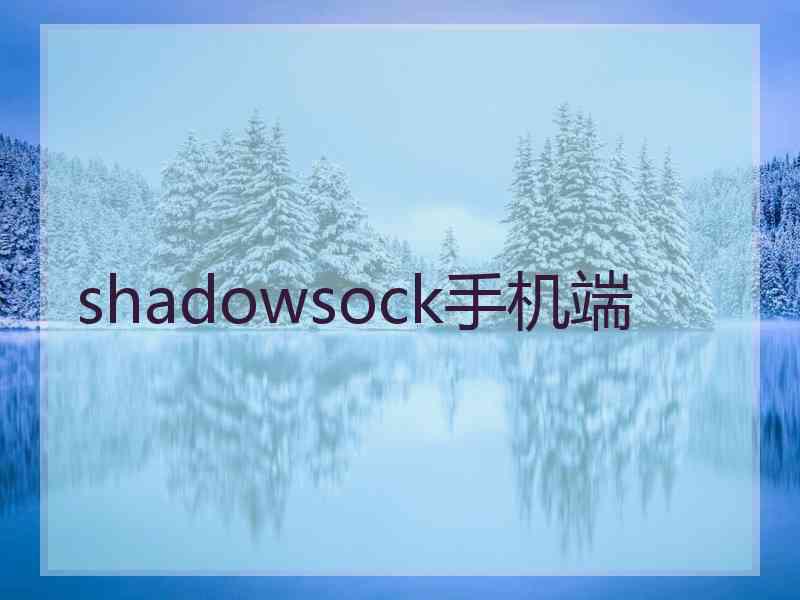 shadowsock手机端