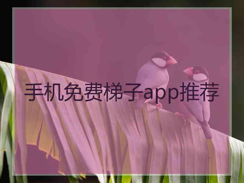 手机免费梯子app推荐