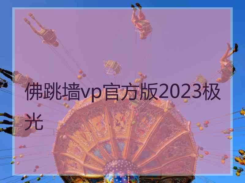 佛跳墙vp官方版2023极光