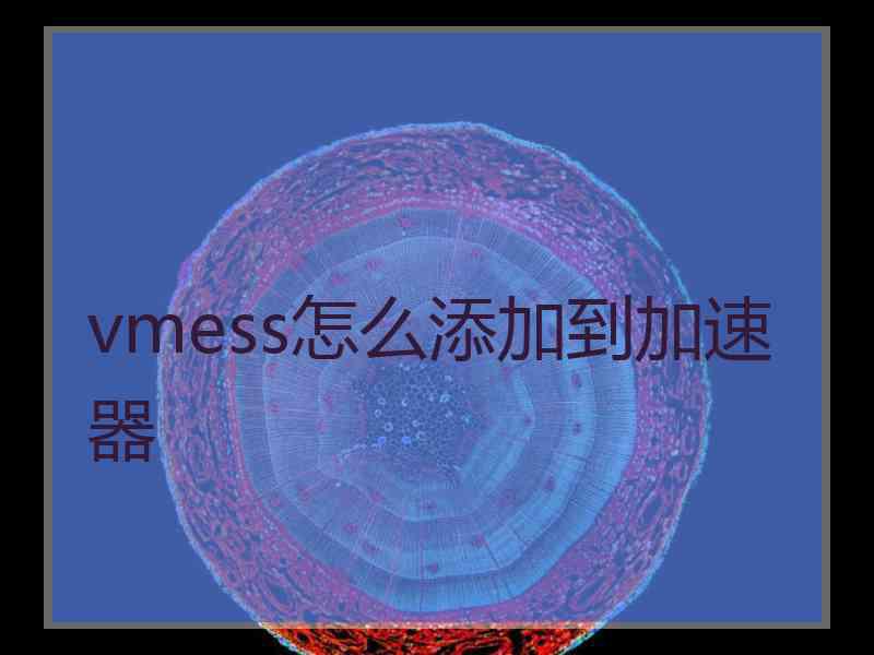 vmess怎么添加到加速器