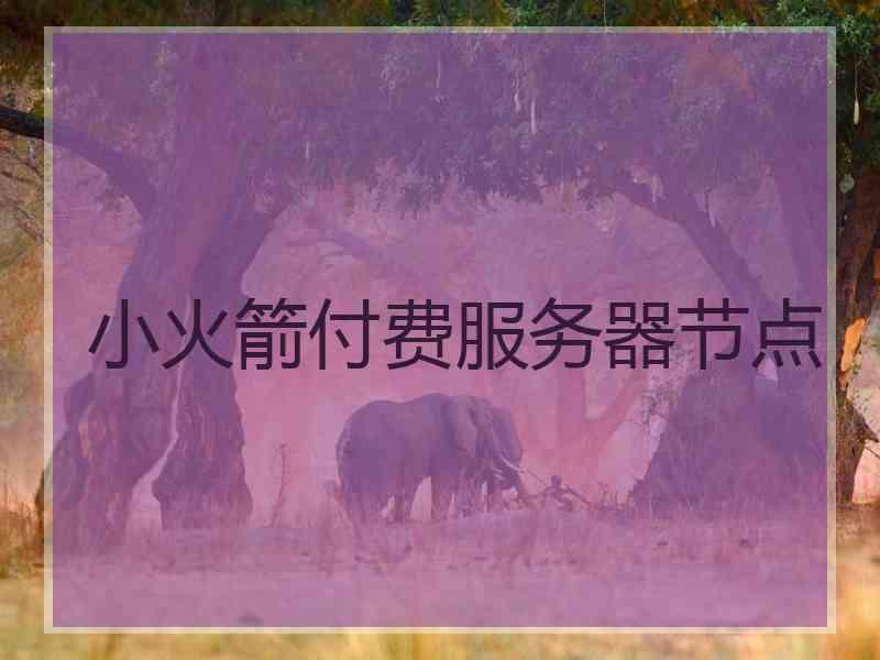 小火箭付费服务器节点