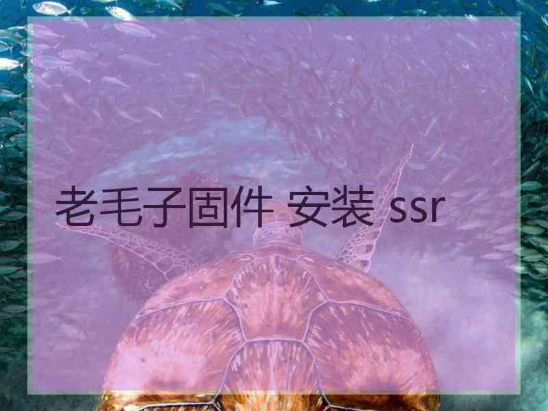 老毛子固件 安装 ssr