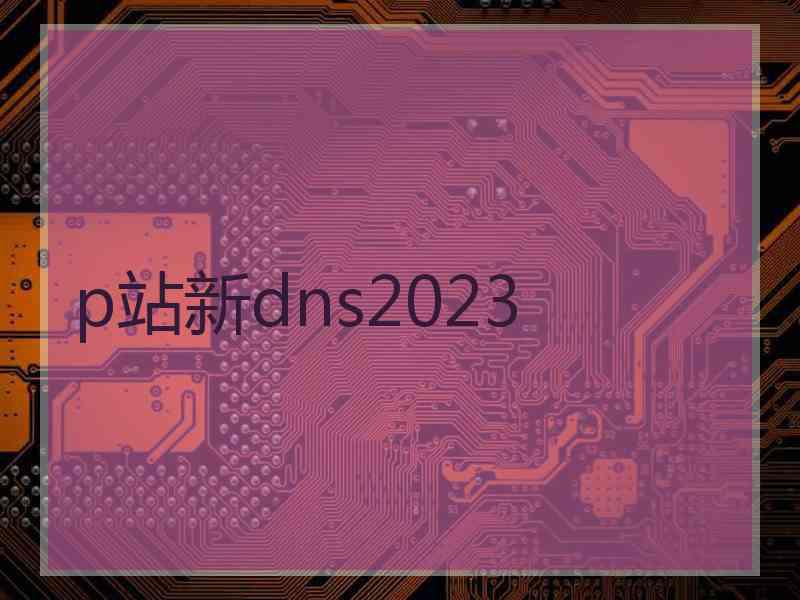 p站新dns2023