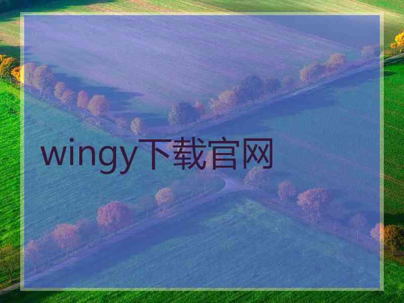 wingy下载官网