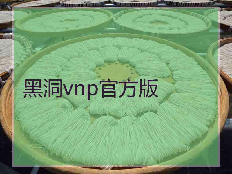 黑洞vnp官方版