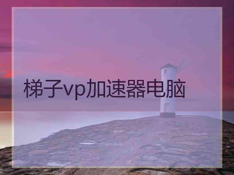 梯子vp加速器电脑