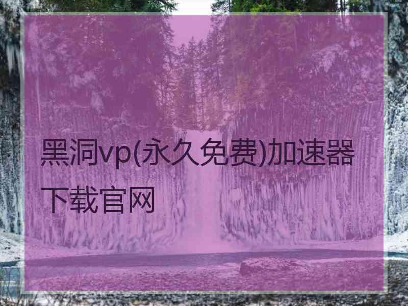 黑洞vp(永久免费)加速器下载官网