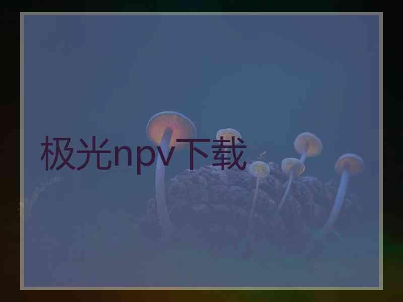 极光npv下载