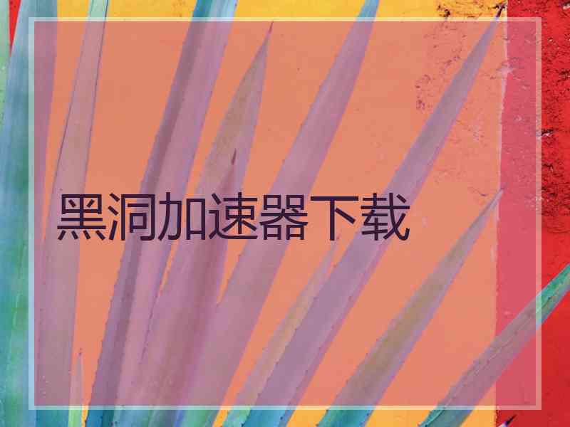 黑洞加速器下载