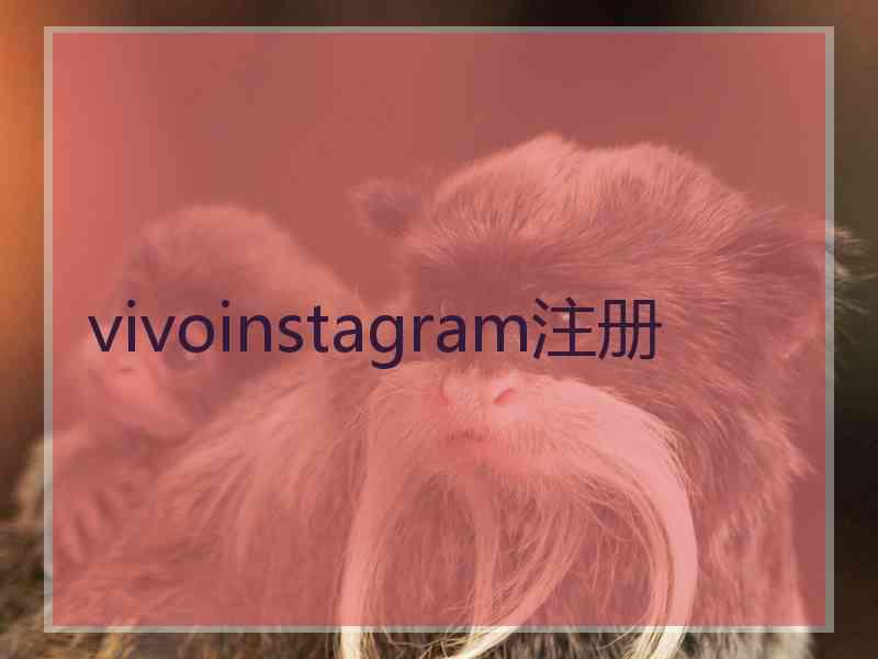 vivoinstagram注册