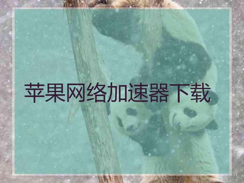 苹果网络加速器下载