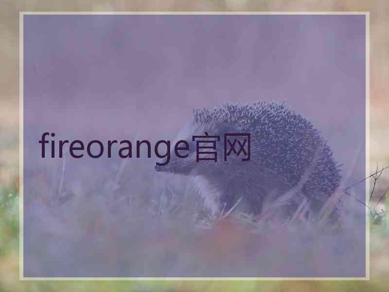 fireorange官网