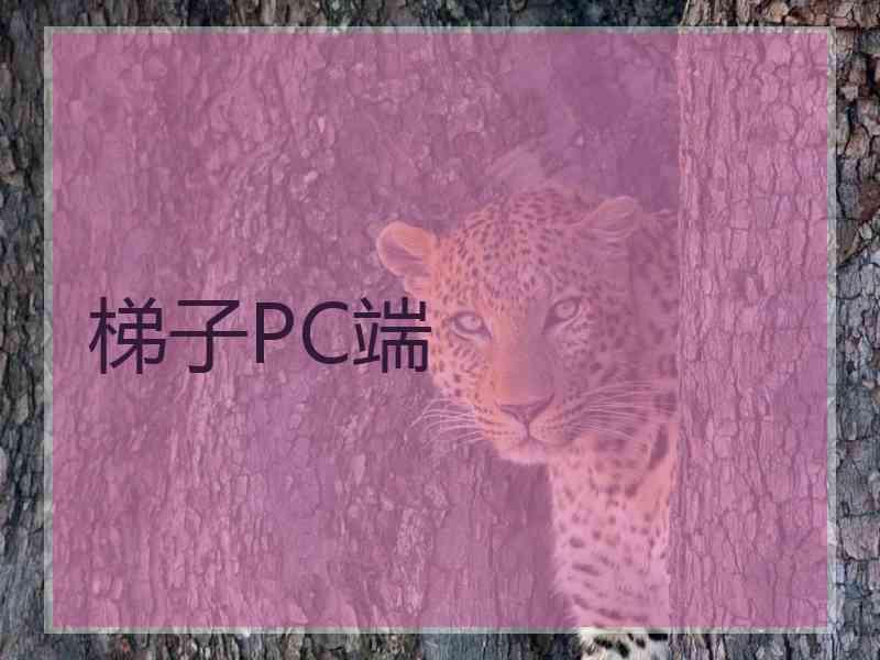 梯子PC端