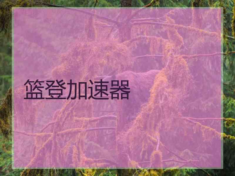 篮登加速器